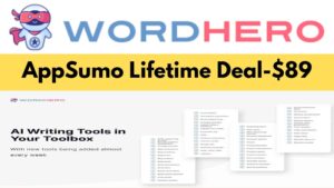 Wordhero Review